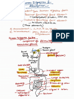 Human Digestive System - 2