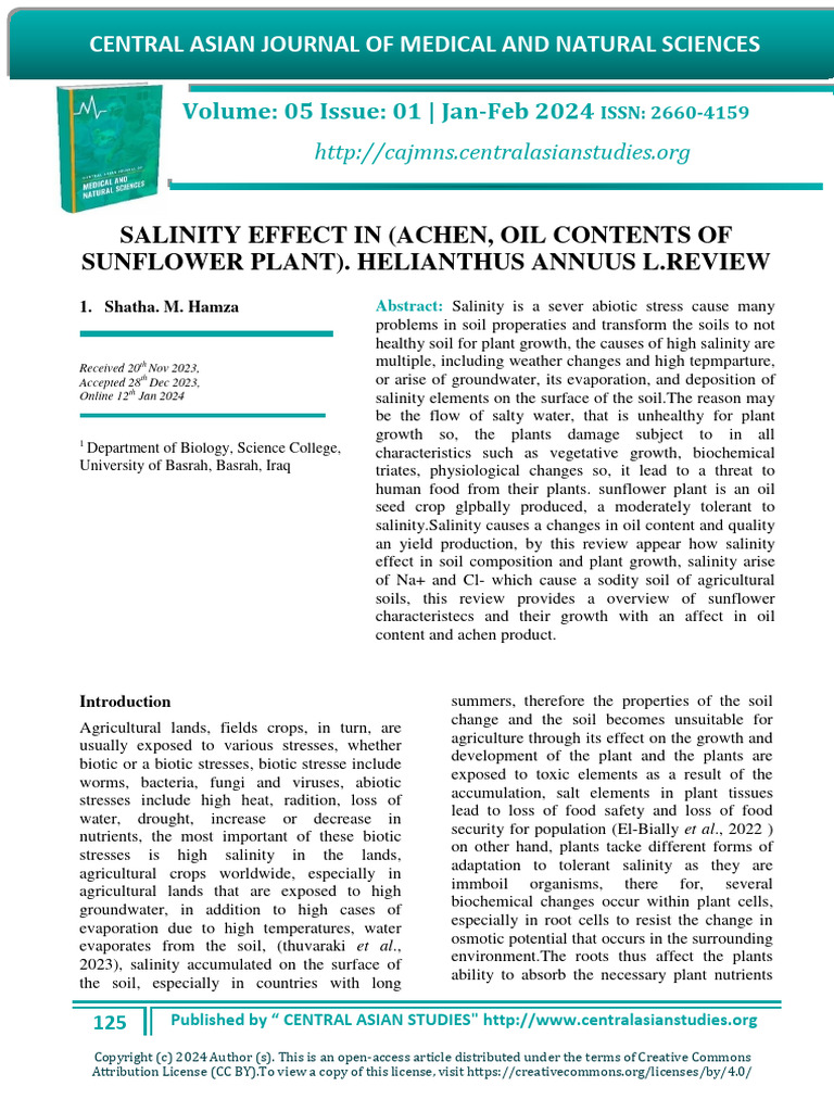 Salinity Effect in (Achen, Oil Contents of Sunflower Plant ...