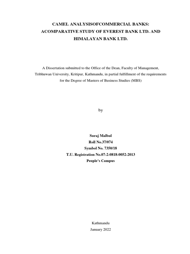 Full Thesis | PDF | Financial Capital | Capital Requirement
