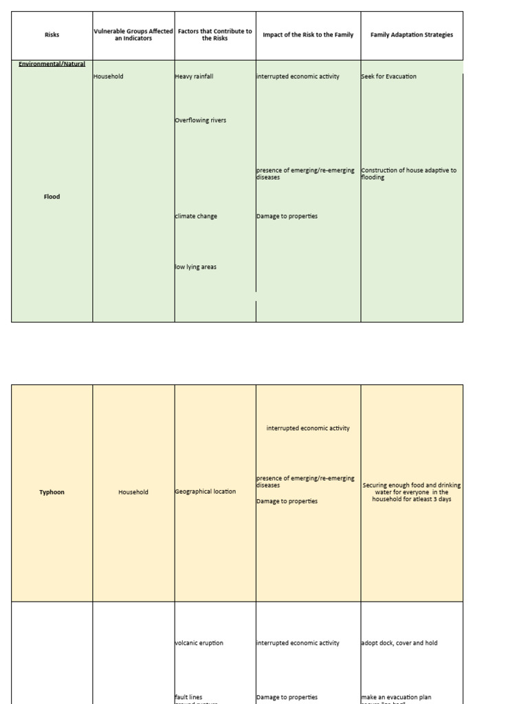 Family Risk Management Strategies | PDF | Flood | Earthquakes