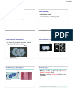 Lecture 6 - Cell Cycle