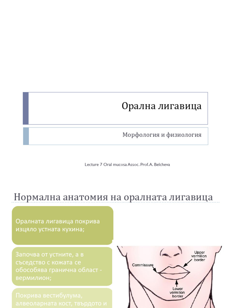 Орална лигавица | PDF