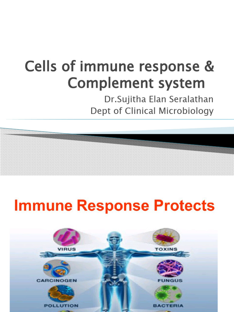 1 Cells Of Immunity Complement Font Pdf Granulocyte Lymphocyte