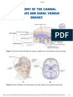 Anatomy of The Cranial Meninges and Dural Venous Sinuses - Osmosis
