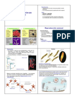 Apuntes Reproducción Animal