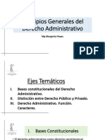 Principios Generales Del Derecho Administrativo