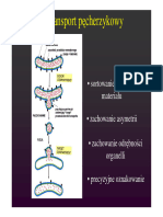 10 Transport Pęcherzykowy