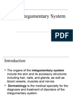 Integumentary System