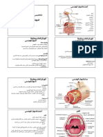 Digestive System ADN - En.ar