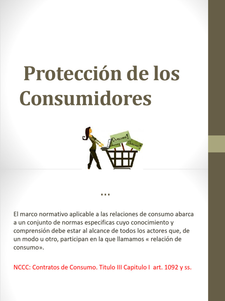 La Protección de Los Consumidores para La Uba | PDF