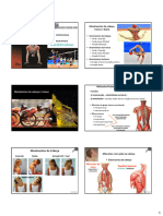 Anatomia Funcional