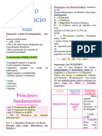 Resumo Direito Constitucional