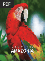 LIFE OF AMAZONIA RULEBOOK PROTOTYPE Ver4