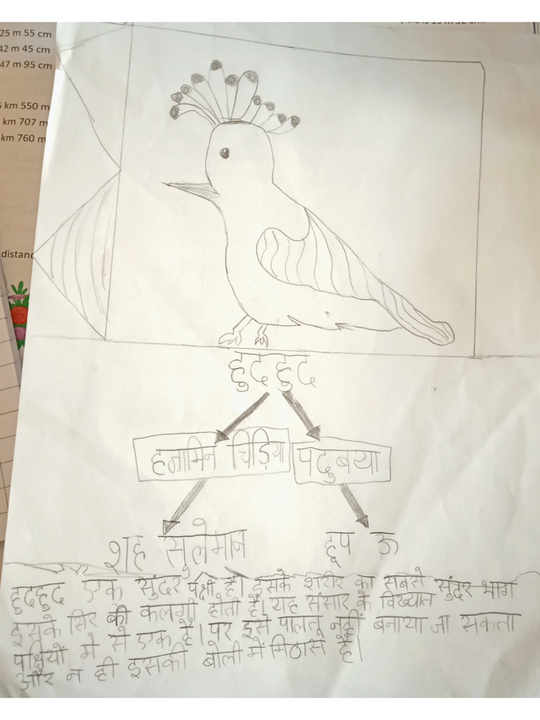 VishistBajpai - HudHud Activity Pic | PDF