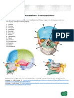 Atividade Prática Biossistemas Sistema Esquelético