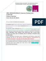 Clase 6 Tejidos Animales 2do 2da Ciencias Naturales Ii 2021 Tejidos