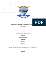 Constitucionalizacion de Los Derechos Huemanos