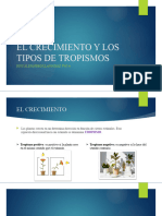 El Crecimiento y Los Tipos de Tropismos