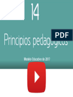 14 Principios Pedagógicos