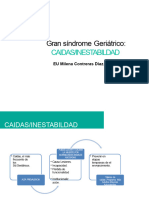 CAÌDAS e Inestabilidad Inacap 2023.