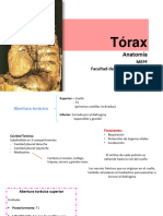Toraxteoria 140508151444 Phpapp01