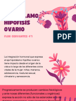 Ginecologia Flor