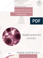 Maduracion Del Ovocito, Fecundación y Desarrollo Embrionario Equipo 2