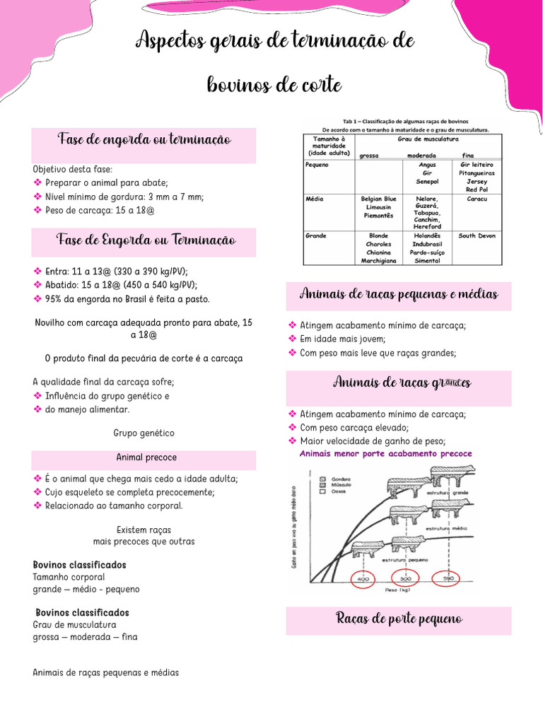 Por Quanto Tempo In English