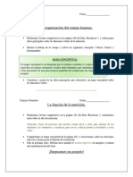 SD Ciencias Naturales - 5to Cuerpo Humano