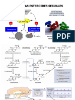 Estrogenos Progesterona y Anticoncepción 2018