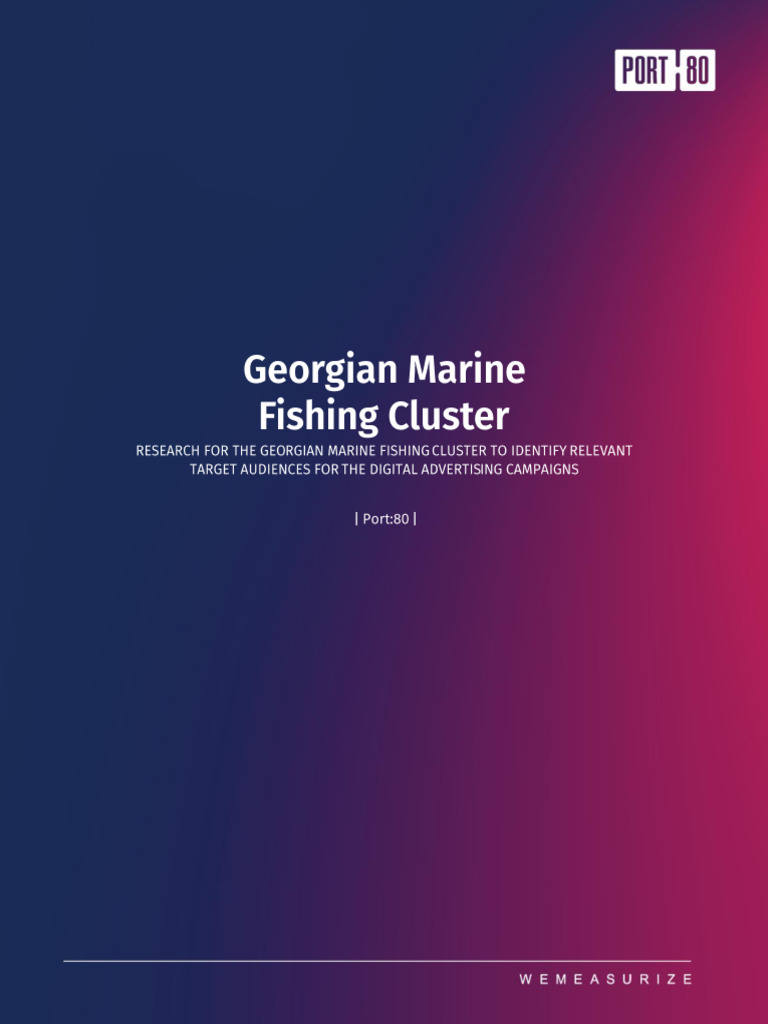 Digital Marketing Audience Research | PDF
