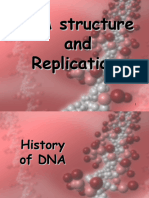 DNA Structure and Replication Final