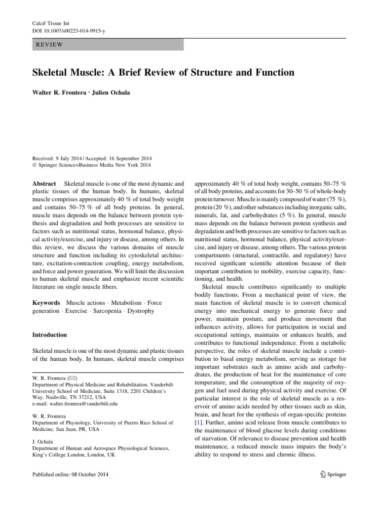 Skeletal Muscle A Brief Review of Structure and Function | PDF
