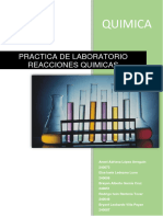 Reporte de Laboratorio de Reacciones Quimicas