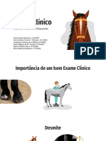 Exame Clínico Equinos - DESMITE