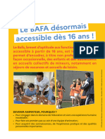 Le Flyer Sur Le Bafa 1991