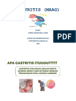 PDF Lembar Balik Gastritis - Compress