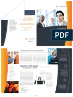 5223-Professional Brochure