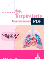 Sistema Respiratorio