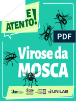 Virose Da Mosca2024 1