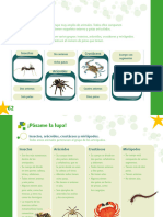 CCNN.03.3.S.16. Los Artrópodos - CA