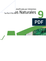 Program - CN9PA Puentes