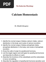 Calcium Homeostasis