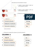 Anexos 2 Periodo Biologia