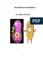 J. Plant Cell and Animal Cell