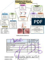 Mapa de Esofagitis