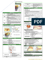 Anatomy of The Eye - Dsayco