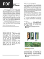 Download Pemantauan  Monitoring Hama Penggerek by me_mute2829 SN71011915 doc pdf