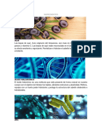 Componentes PDF