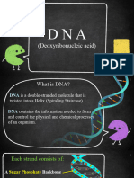 Dna The Genetic Model